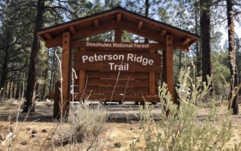 2021 Peterson Ridge Rumble 40/20 Preview